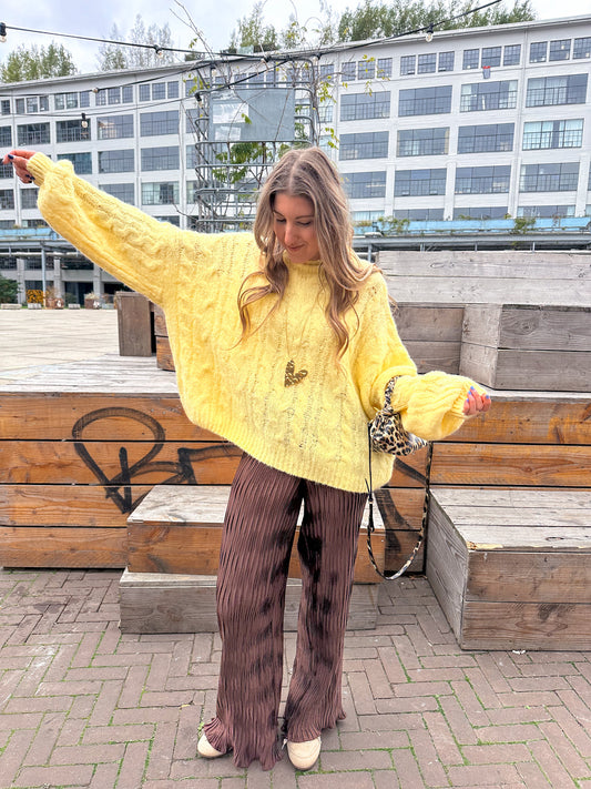 Liz wide leg pants brown