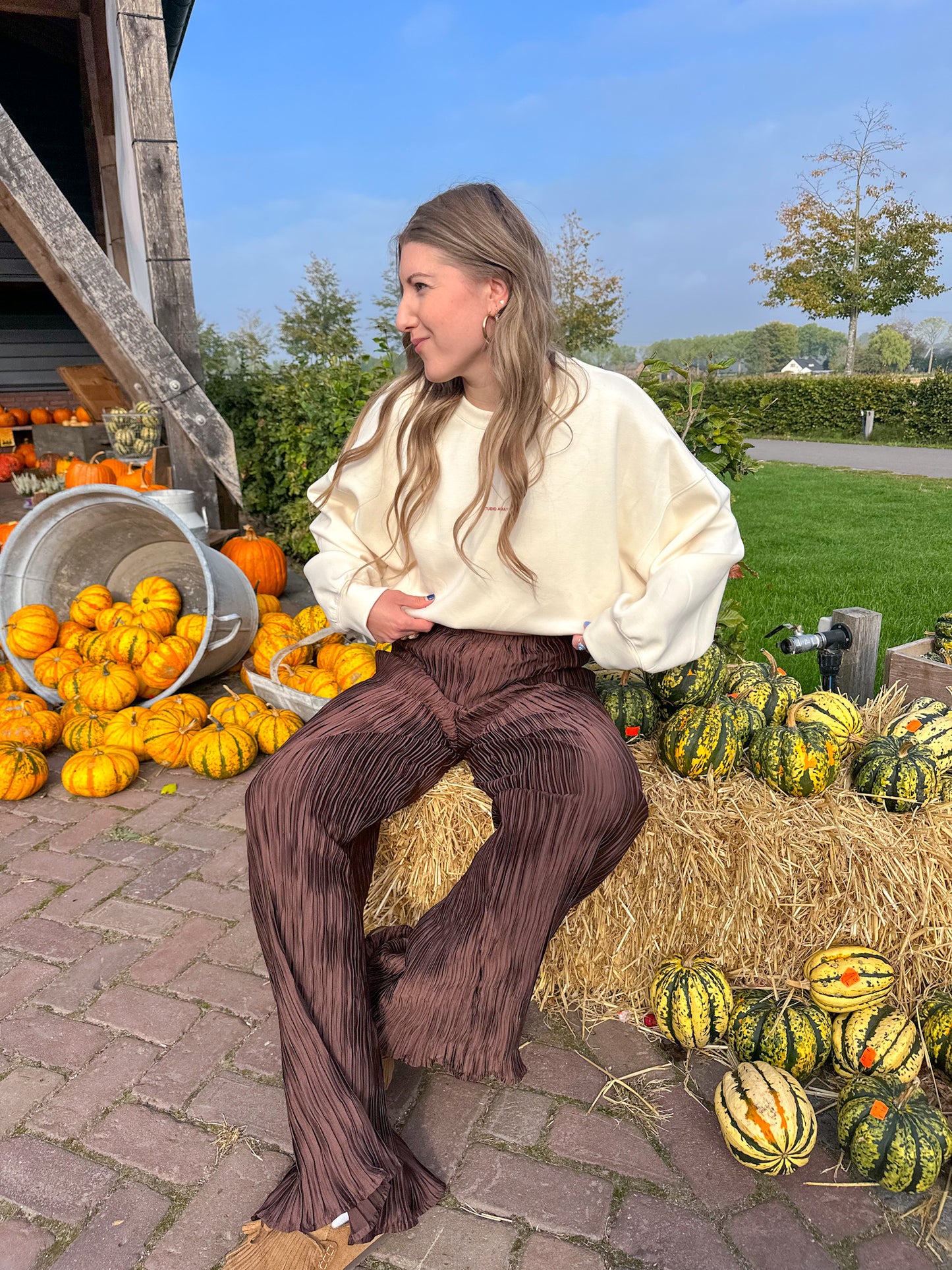 Liz wide leg pants brown