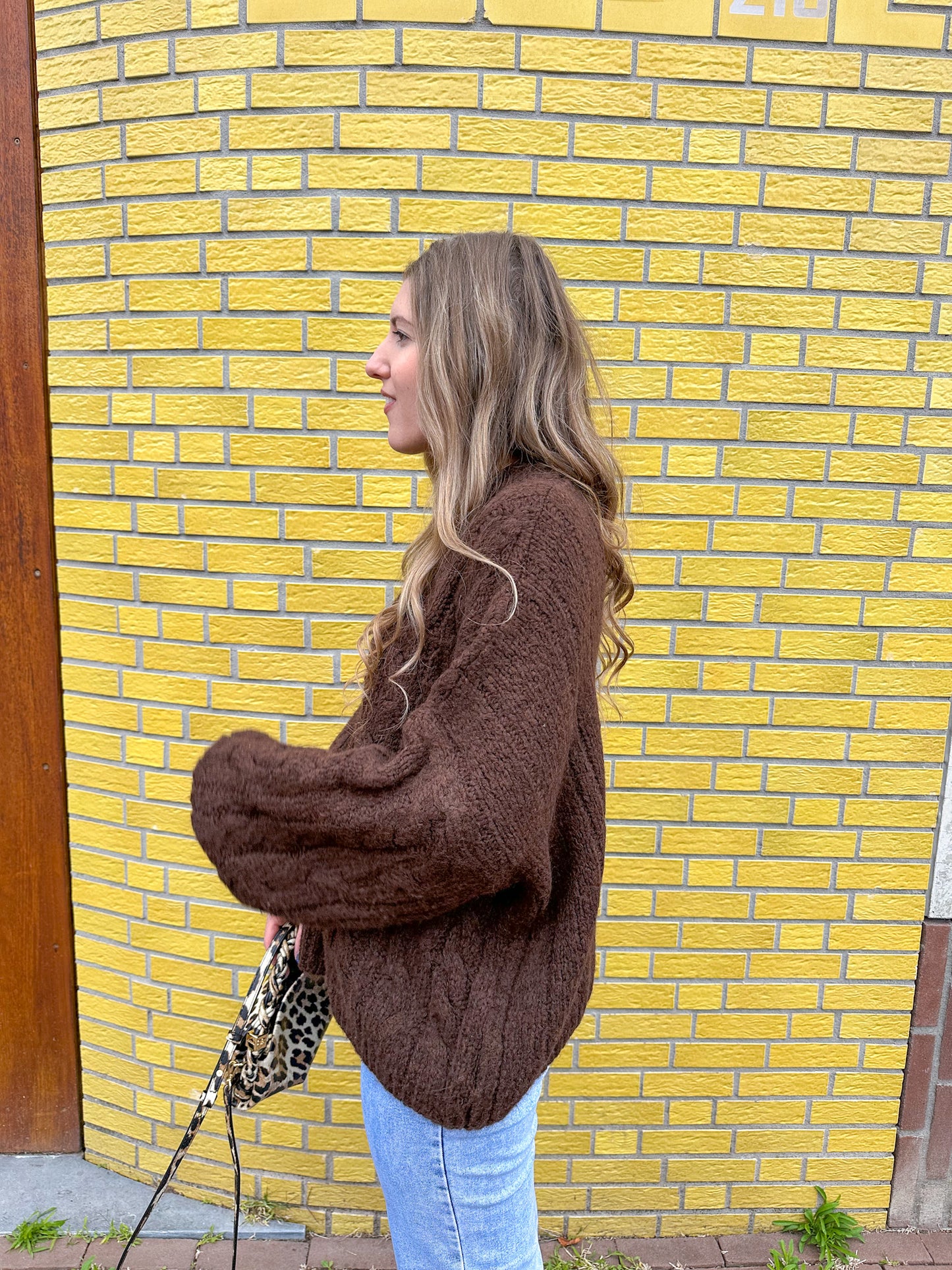Nova cable knit bruin